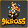 www.9krain.com favicon